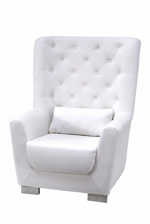 Plush Leather Chair