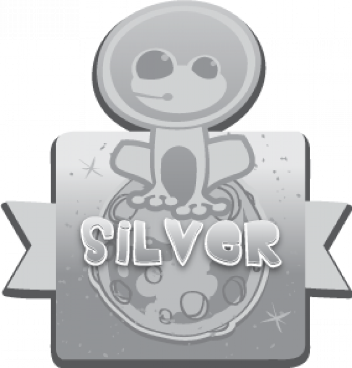 Silver Package
