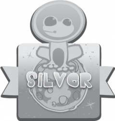 Silver Package