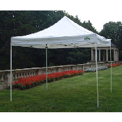 10 X 10 Tent