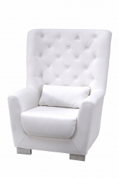 Plush Leather Chair