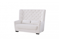 Plush Leather Loveseat