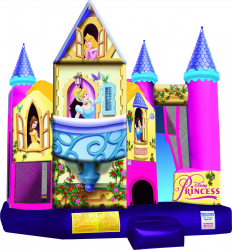 4-N-1 Disney Princess Palace Combo