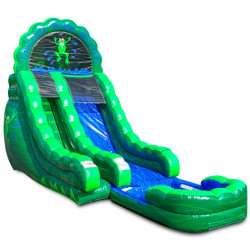 Flippy Froggy Splash with Pool